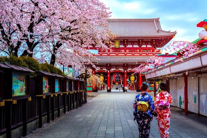 1-Day Private Tokyo Sightseeing Tour With Guide - Tour Highlights