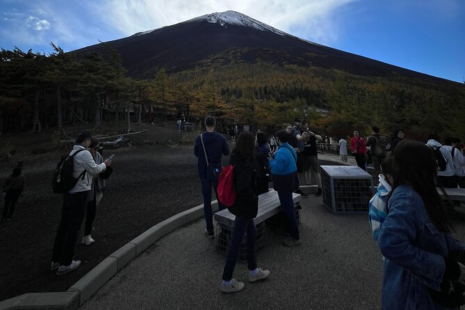 1 Day Private Tour in Mt.Fuji and Hakone English Speaking Driver - Tour Details
