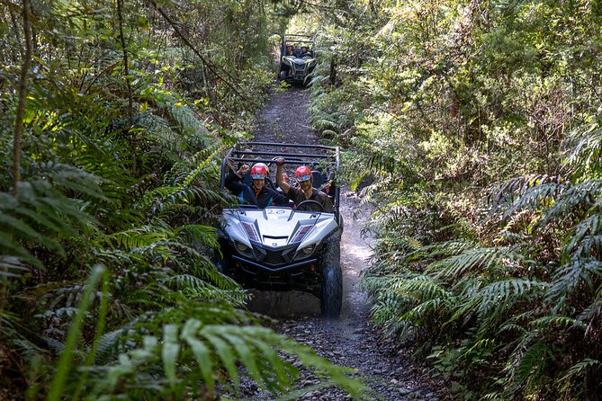 1 Hour Enchanted Forest Track - BUGGIES - Pricing and Booking Details