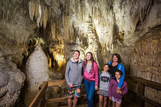 1-Hour Guided Tour of Aranui Cave Waitomo - Aranui Cave Tour Highlights