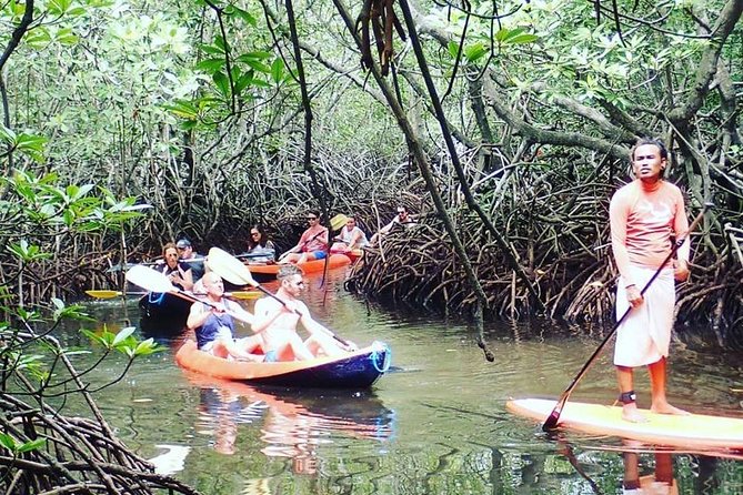 1 Hour Kayaking or Stand Up Paddle Adventure From Lembongan to The Mangrove - Booking and Cancellation Policy