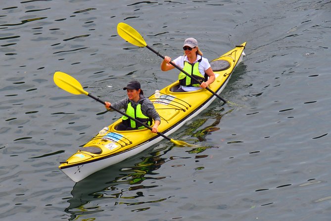 1 Hour Rental Deluxe Double Sea Kayak - Inclusions