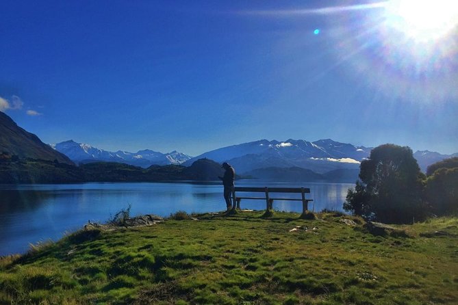 1-Hour Ruby Island Cruise and Walk From Wanaka - Experience Highlights