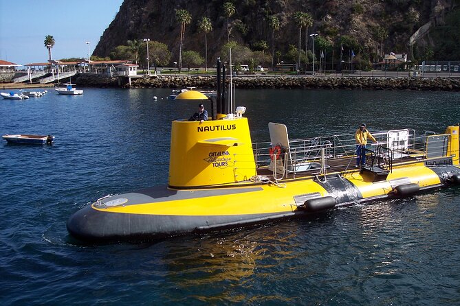 15 Minute Semi-Submarine Tour of Catalina Island From Avalon