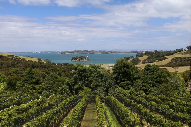 2.5 Hours Wine Tour in Waiheke Island for Cruise Ship Travelers - Cancellation Policy Details