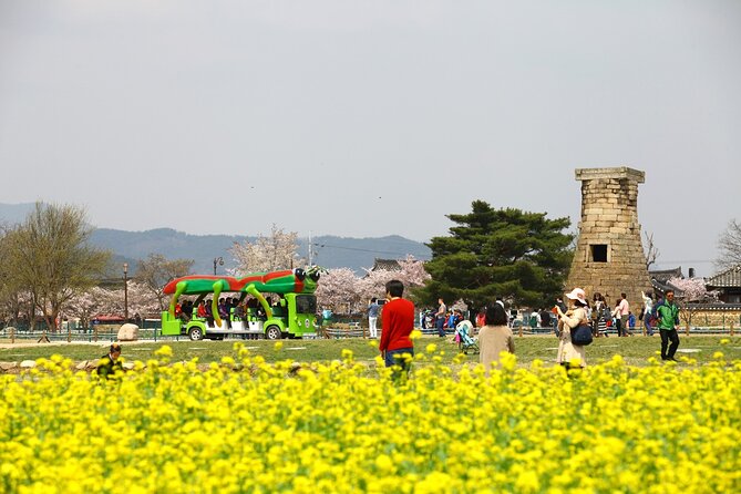 2-Day Gyeongju Rail Tour From Seoul - Tour Highlights