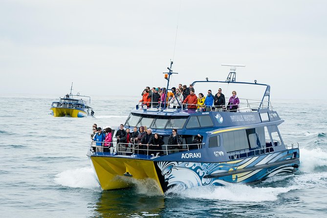 2 Day Kaikoura Whale and Dolphin Tour From Christchurch