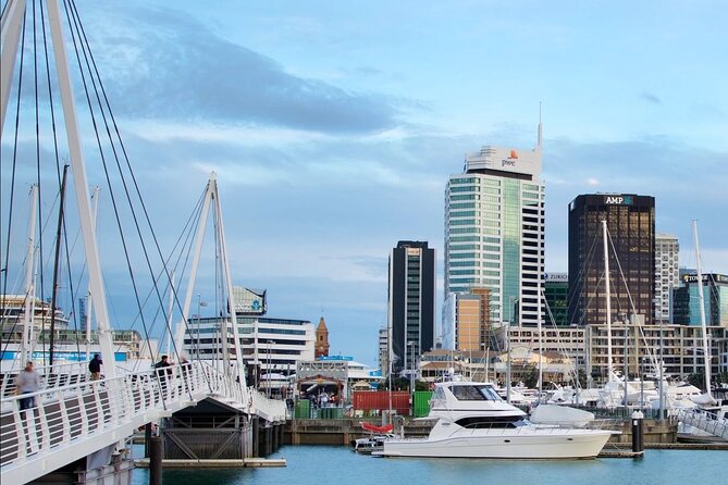 2-Hour City Tour in Auckland - Group Size and Commentary
