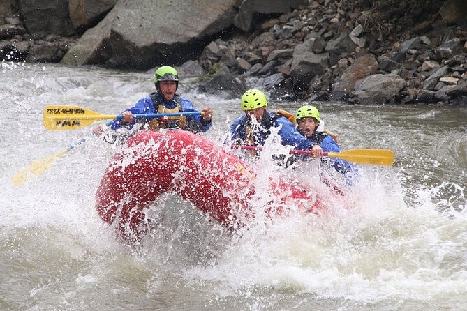 2 Hour Rafting on the Yellowstone River - Tour Highlights