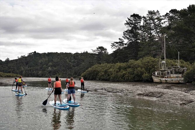 2-Hour Stand-Up Paddle Boarding Tour to Lucas Creek Waterfall