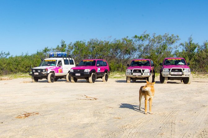 3 Day 4wd Tagalong Tour - Fraser Island - Itinerary Highlights