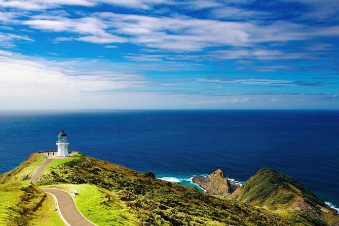 3-Day Bay of Islands Tour From Auckland - Tour Details