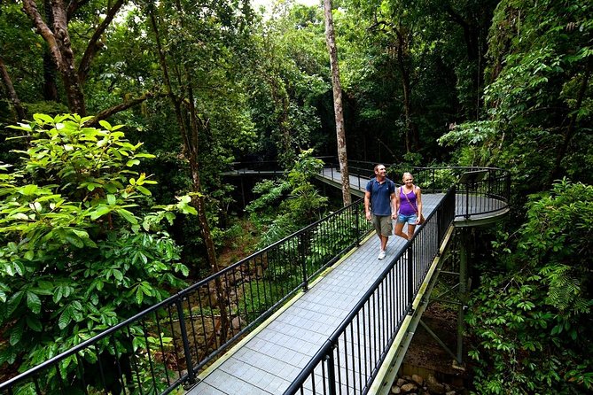 3-Day Best of Cairns Combo: The Daintree Rainforest, Great Barrier Reef, and Kuranda - Customer Reviews and Feedback