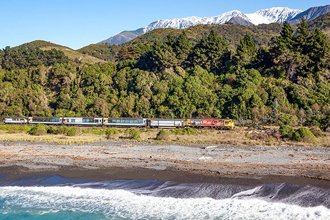 3 Day Kaikoura Sealife and Coach Tour From Christchurch - Itinerary Highlights