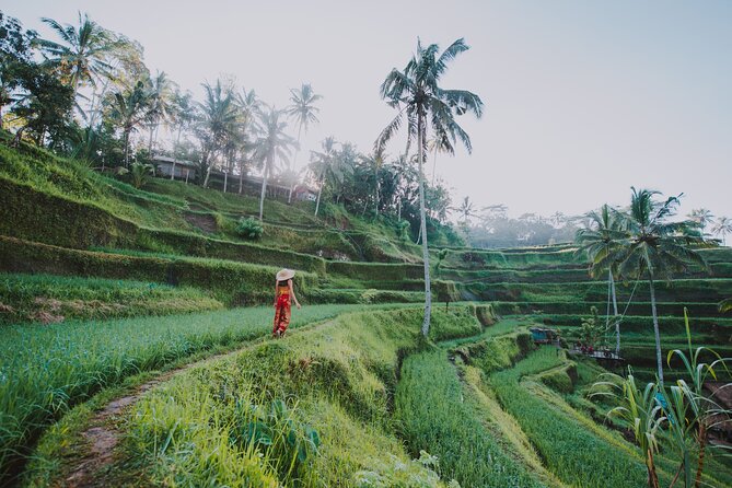 3 Days for the Best of Ubud Private Tour