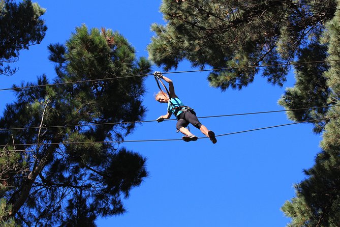 3-Hour Admission to Forest Obstacle Course, Auckland