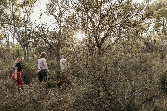 3 Hour Forest Bathing at Kings Park and Botanic Garden