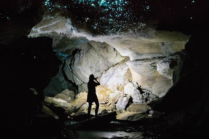 3-Hour Private Photography Tour in Waitomo Caves - Tour Highlights