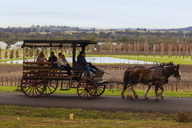 3- Hour Wine and Harvest the Hunter Horse Tour in Pokolbin - Itinerary Highlights