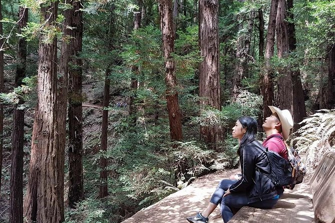 3 in 1 Tour: Muir Woods, Sausalito & Half Day Wine Country Visit