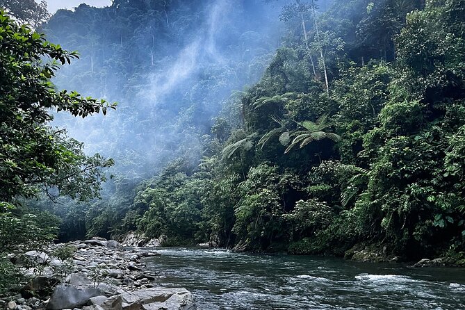 4 Day Jungle Adventure Including 2 Day Trek - Detailed Itinerary Breakdown