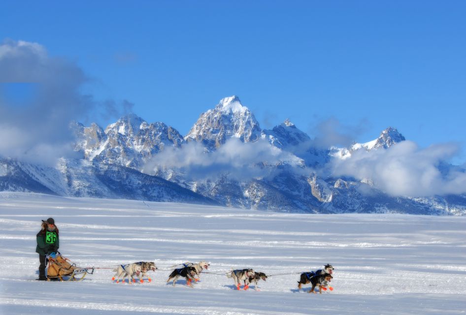 4-Day Winter Yellowstone Tour - Booking and Pricing Information