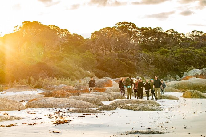 4-Day Wukalina Walk Hiking and Cultural Experience in Tasmania - Logistics and Practical Information