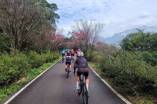 4 Hour Cycling in Taipei