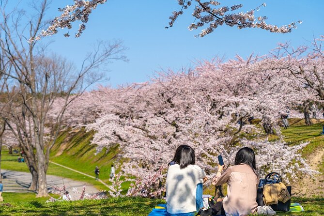 4 Hour Private Cherry Blossom "Sakura" Experience in Nagasaki - Private Tour Itinerary