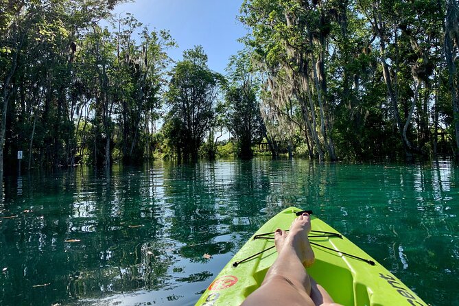 4 Hour Single Kayak Rental In Crystal River, Florida - Rental Package Inclusions