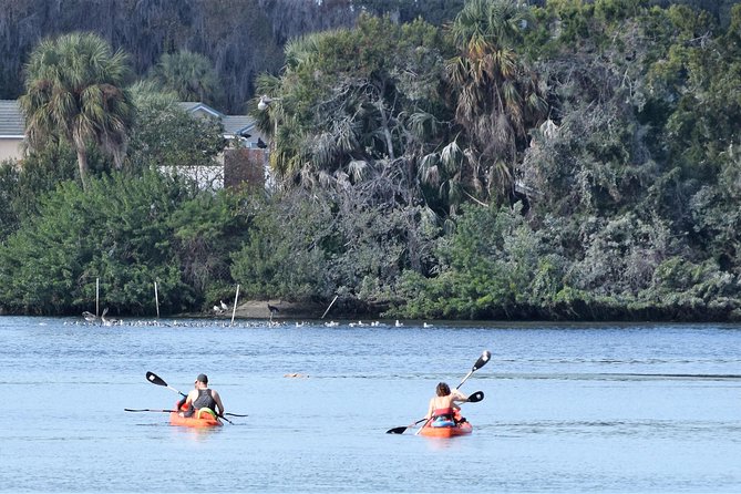 4 Hour Tandem Kayak Rental For Two People In Crystal River, Florida - Activity Details