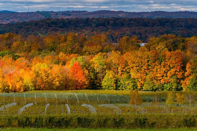 4-Hour Traverse City Sunset Wine Tour: 3 Wineries on Old Mission Peninsula