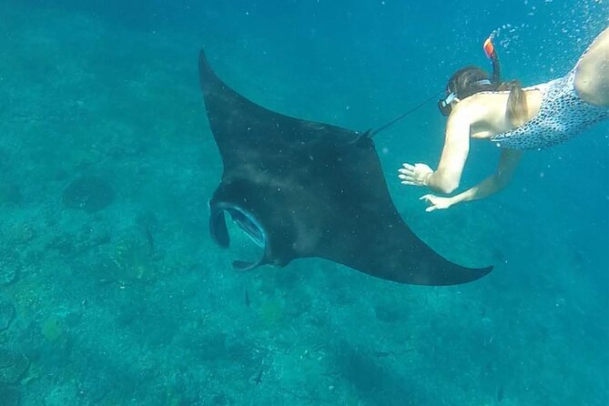 4 Spots Snorkeling Tour With Manta Rays in Nusa Penida - Snorkeling Locations