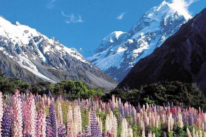 5-Day South Island Tour From Christchurch - Tour Itinerary and Highlights