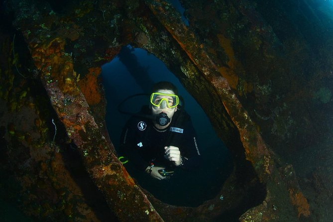 5 Fun Dives in Tulamben (For Certified Divers) - Discover Famous Diving Sites - Dive at the USAT Liberty Shipwreck