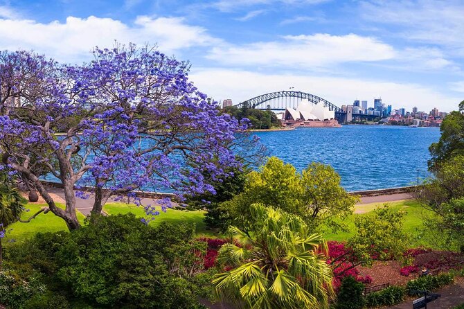 6 Courses of Sydney! the Sydney Tour With an Appetite for Delicious Food & Views - Inclusions and Experiences