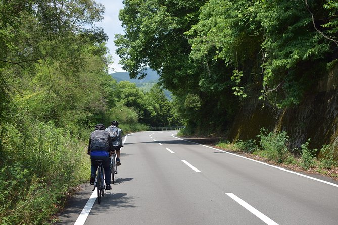 6－Day Cycling Tour in Shikoku - Enjoy Shikokus Best Spots by Bicycle - Accommodation Details