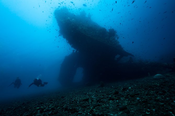 7 Fun Dives in Tulamben (For Certified Divers) - Premium Value Package - Dive 1: USAT Liberty Wreck