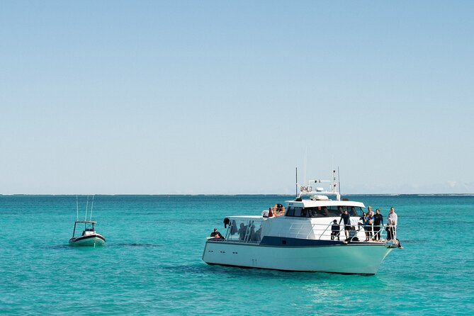 7 Hours Off Peak Whale Shark and Ningaloo Reef Tour in Exmouth - Tour Highlights