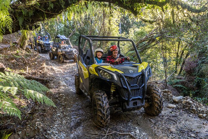 90 Min Waterfall and Forest Track – BUGGIES