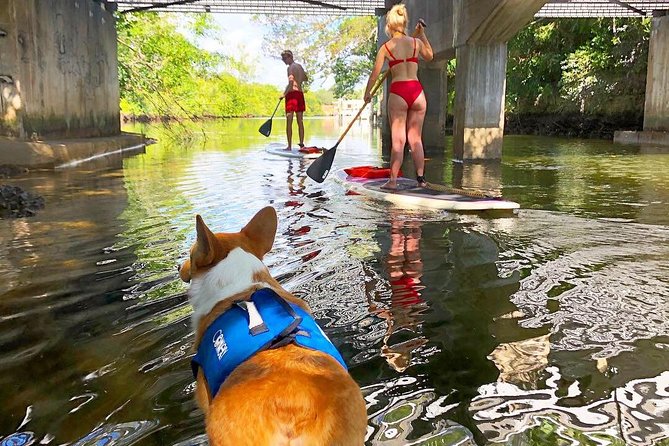 90-Minute SUP Tour of Las Olas Canals With a Doggy Guide  – Fort Lauderdale