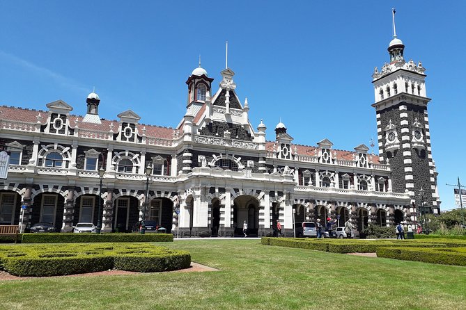 A 2 Hour Small Group Dunedin City Highlights Tour - Traveler Reviews