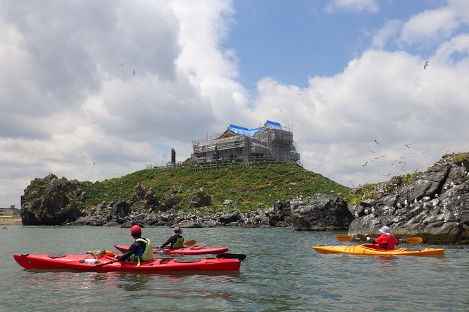 A Sea Kayak Tour of Kabushima Island, the Home of 30,000 Black-Tailed Gulls - Tour Highlights