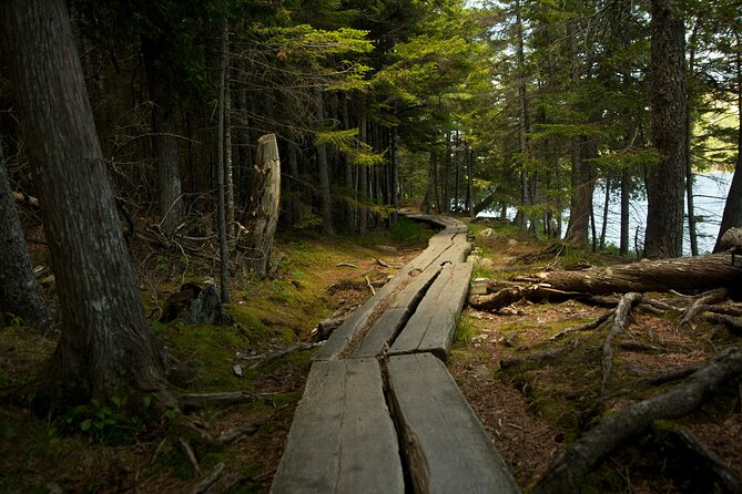 Acadia Full Day Small Group Tour - Tour Highlights and Exploration