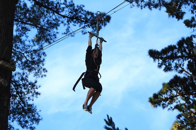 Adrenalin Forest Obstacle Course in Christchurch - Adventure Activities and Challenges