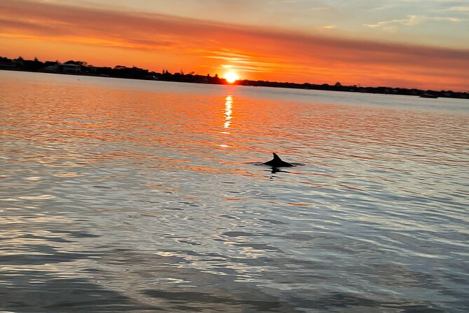 Adventure Boat Tours - Sunset Water Tour in St. Augustine - Tour Highlights