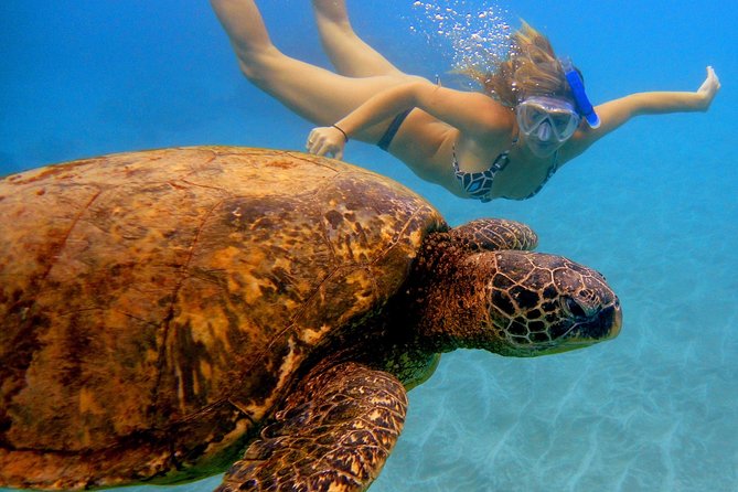 Afternoon Adventure Snorkel From Kaanapali - Snorkel Locations and Options