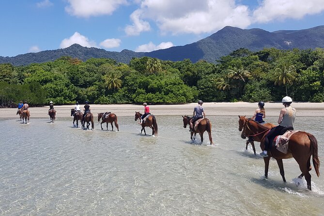 Afternoon Beach Horse Ride in Cape Tribulation - Tour Details