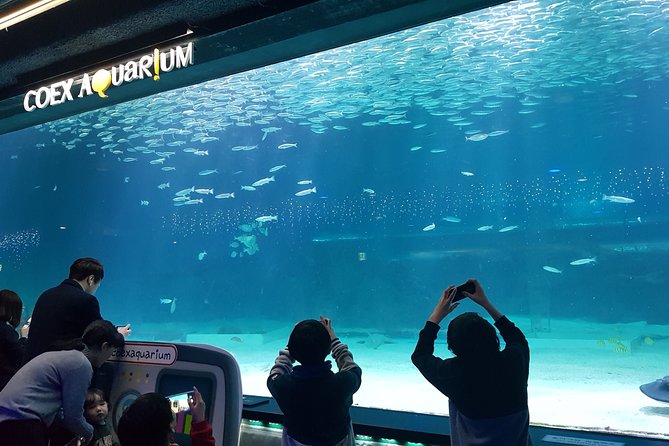 Afternoon Coex Aquarium, Han River Cruise Tour - Tour Highlights and Itinerary