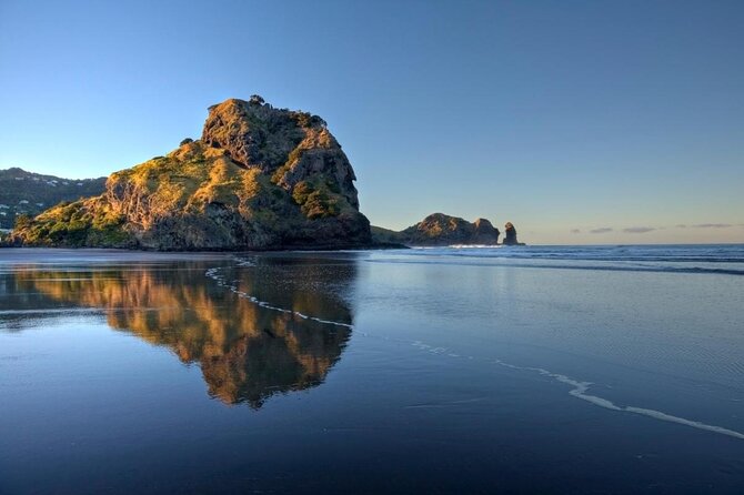 Afternoon Piha Beach and Rainforest Tour From Auckland